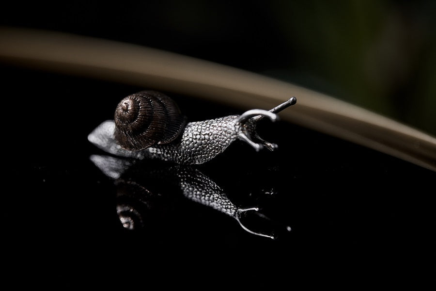 Golden Spiral (snail) — Handcrafted Brass Vessel