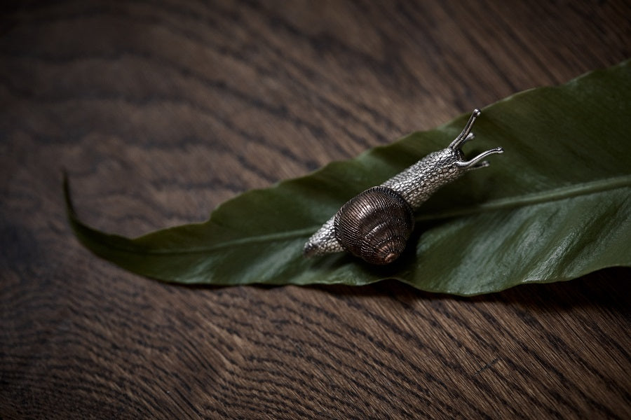 Golden Spiral (snail) — Handcrafted Brass Vessel