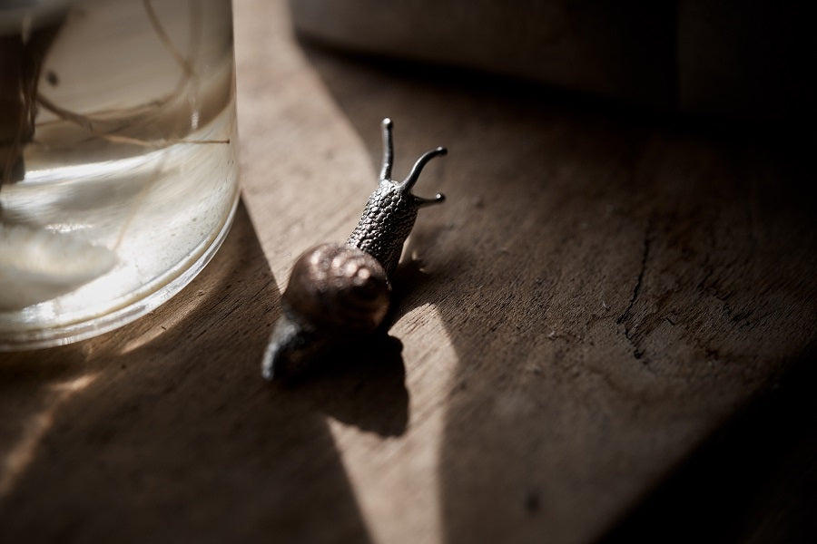 Golden Spiral (snail) — Handcrafted Brass Vessel