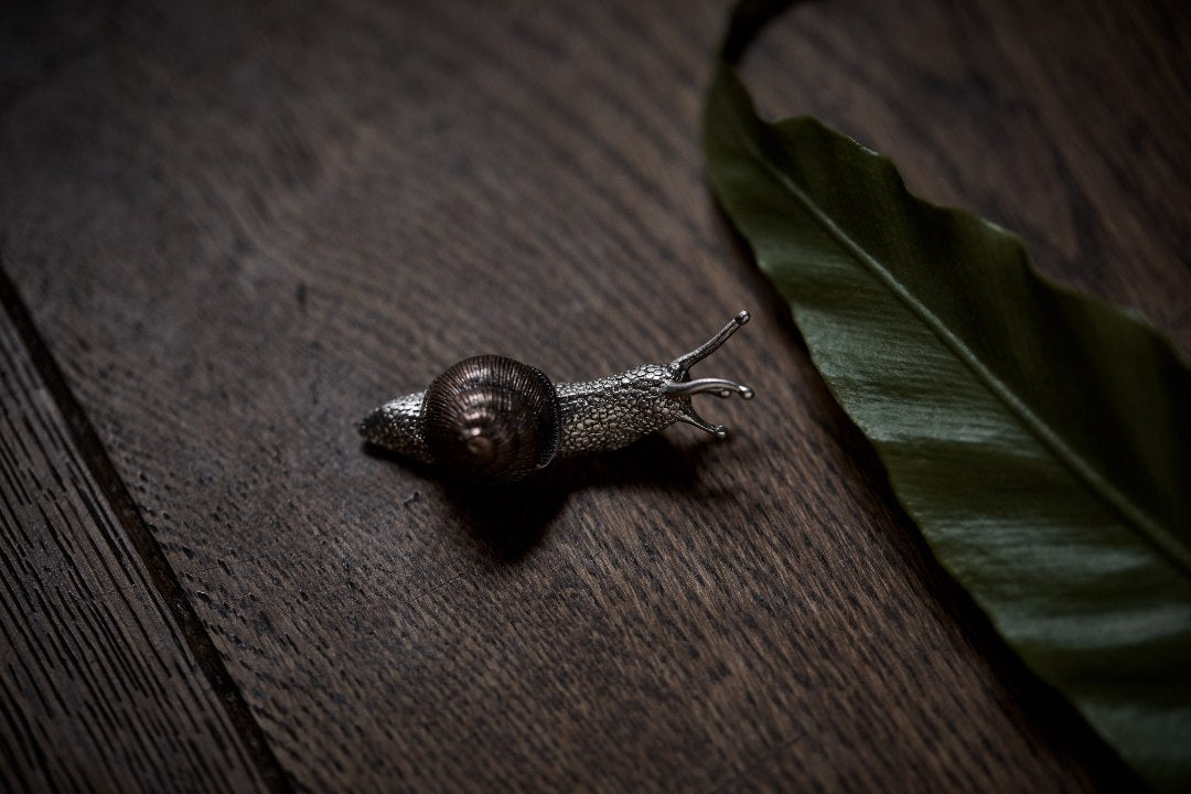 Golden Spiral (snail) — Handcrafted Brass Vessel