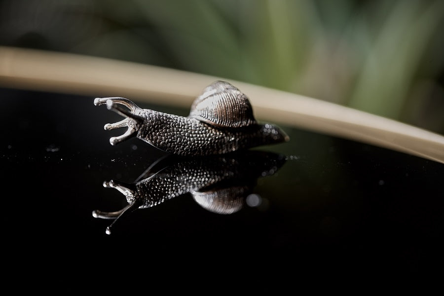 Golden Spiral (snail) — Handcrafted Brass Vessel