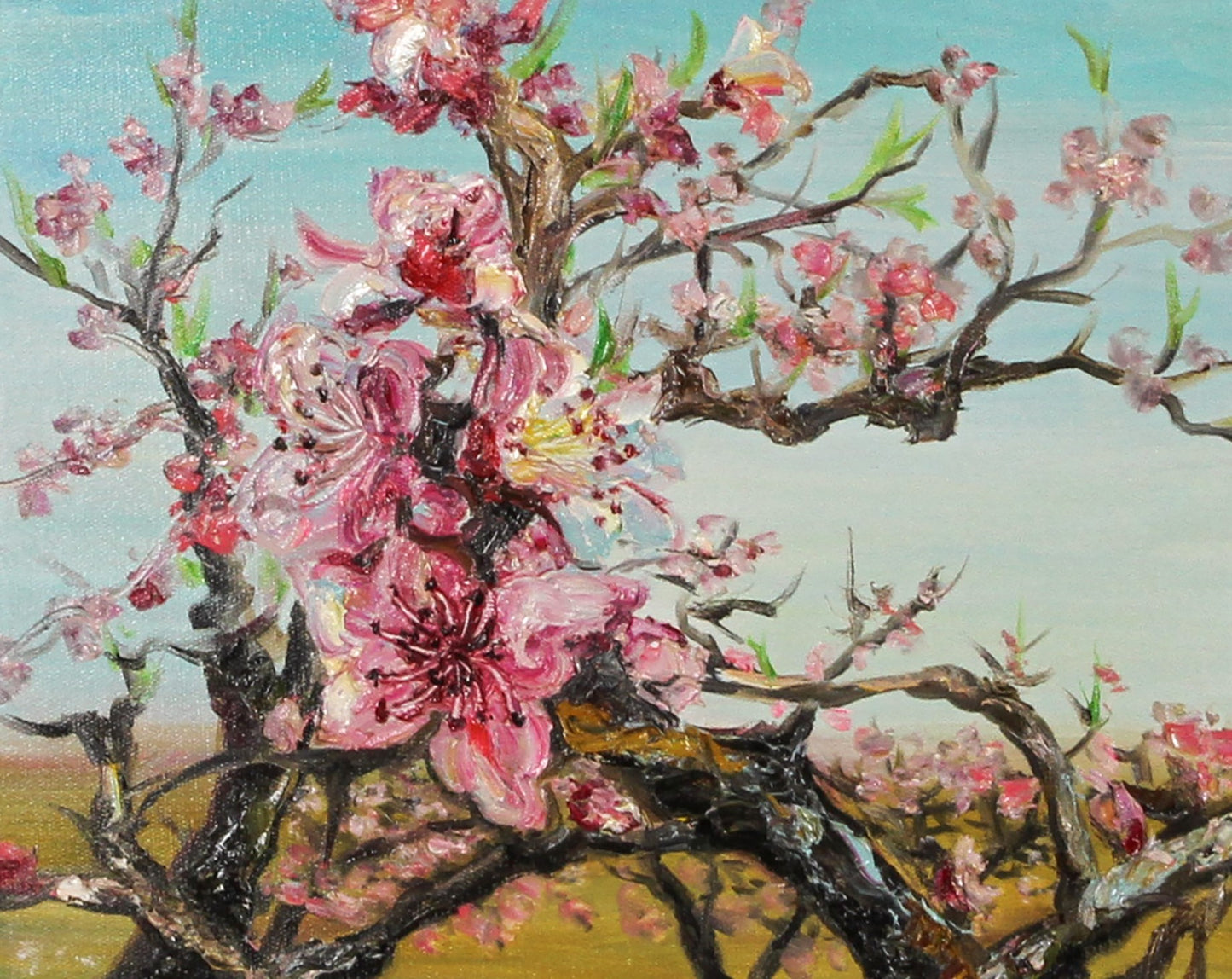 "Peach Blossom" (Táohuā) by Zeng Hongjie