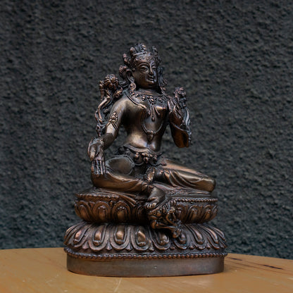 Bronze Buddha Statue: "The Contemplative Buddha"