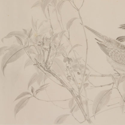 "Joyful Serenity" (Miào Lè Zìzài) by Zhang Minsheng – Exquisite Traditional Chinese Meticulous Flower & Bird Painting